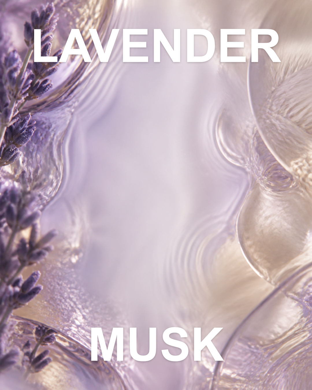 Lavender Musk notes editorial