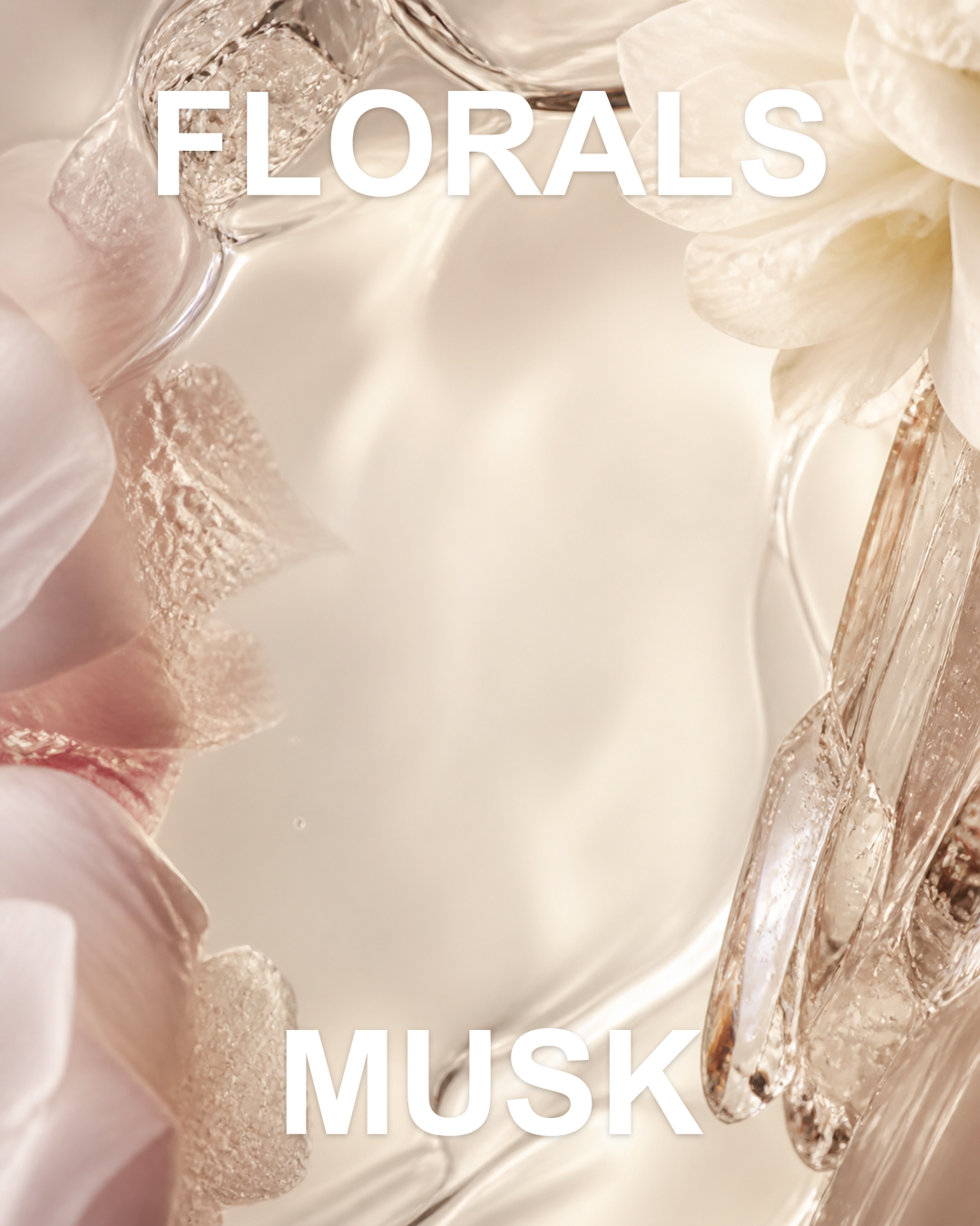 Musk Flora notes editorial