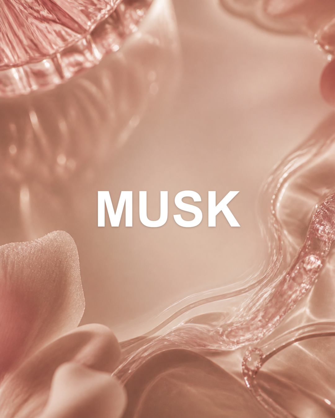Candy Musk notes editorial