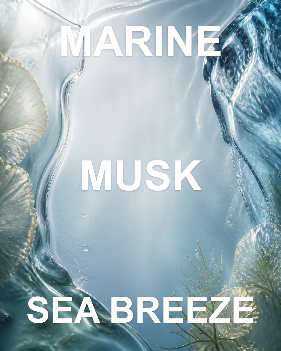 Ocean Musk notes editorial