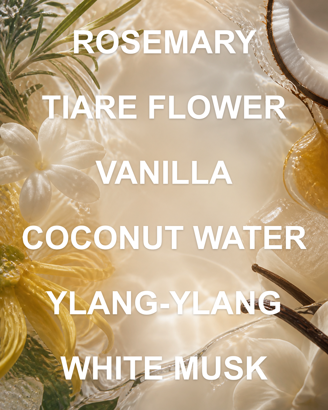 Tan Line notes editorial