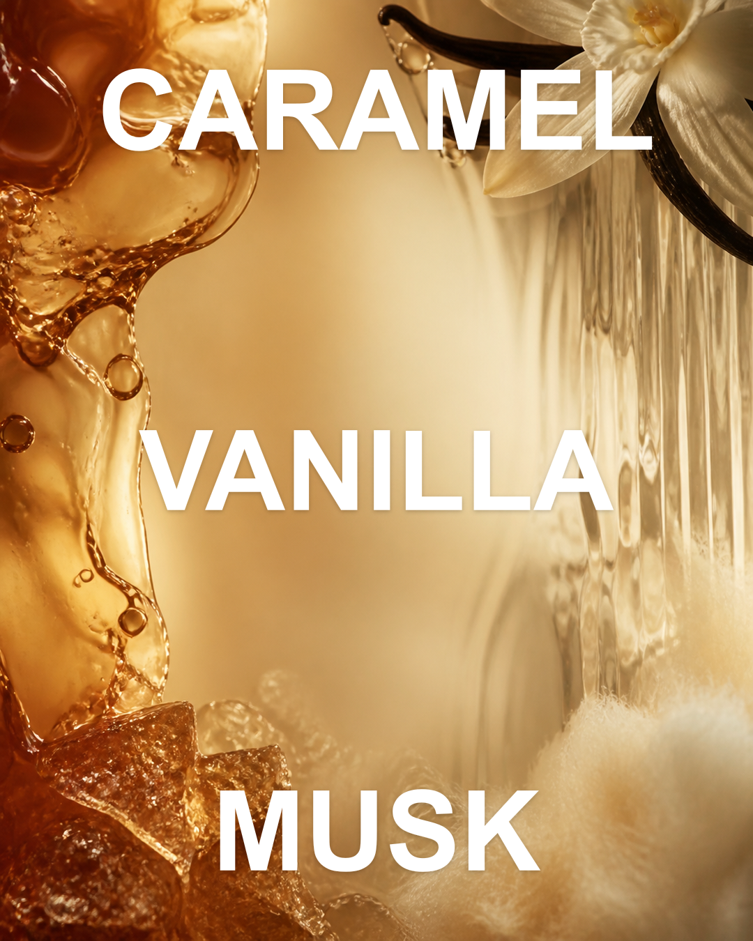 Vanille notes editorial